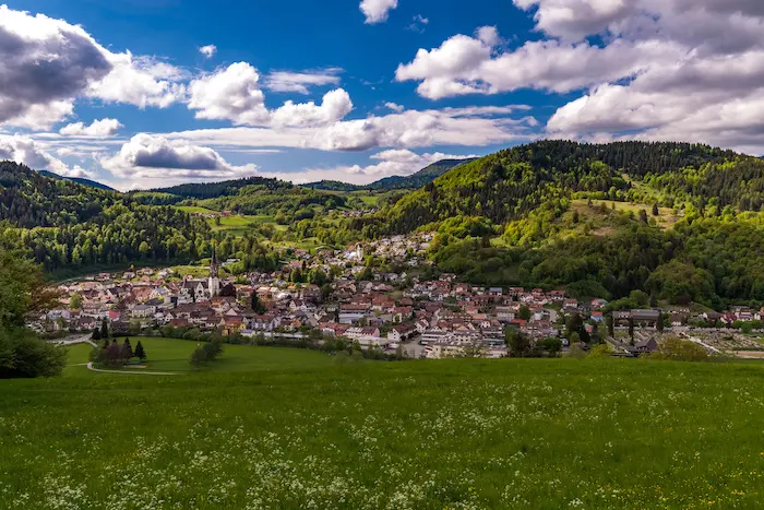 Blick über Schönau